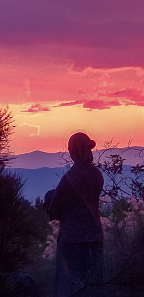 Museum Hill, New Mexico